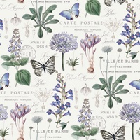 Butterfly Botanical P & S Wallpaper