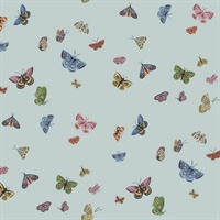 Butterfly House Light Blue Wallpaper