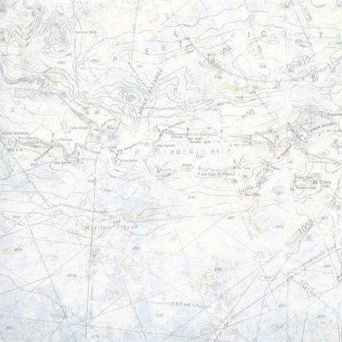 Canaveral Blue Charts Wallpaper