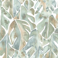 Cat Coquillette Philodendron P & S Wallpaper