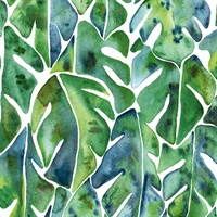 Cat Coquillette Philodendron P & S Wallpaper