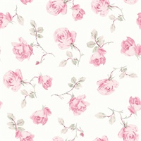Chateau Rose Ribbon Rosa Peel & Stick Wallpaper