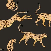 Cheetah Cheetah P & S Wallpaper
