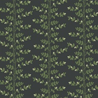 Climbing Vine Black Wallpaper