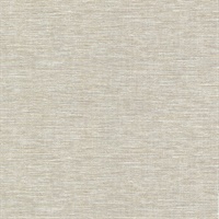 Cogon Taupe Distressed Texture Wallpaper
