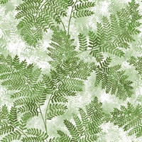 Cyathea Green Fern Wallpaper