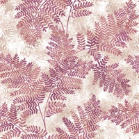 Cyathea Pink Fern Wallpaper