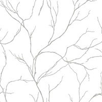 Delicate Branches