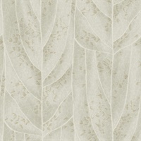 Dicot Beige Leaf Wallpaper