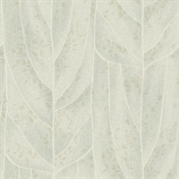 Dicot Light Green Leaf Wallpaper