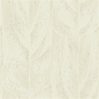 Dicot Pearl Leaf Wallpaper