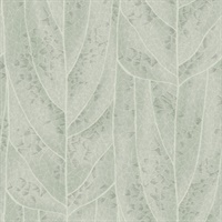 Dicot Spa Leaf Wallpaper