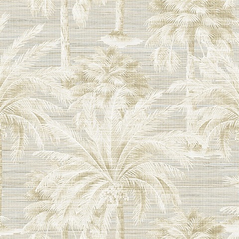 Dream Of Palm Trees Sand Texture Wallpaper