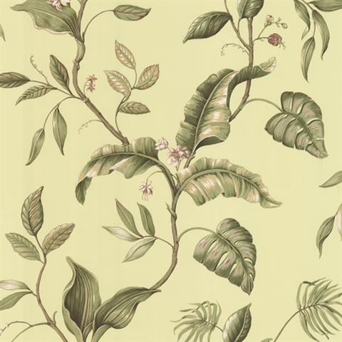 Eldora Green Evening Tropics Leaves Wallpaper