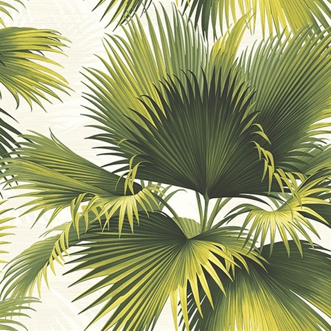 Endless Summer Green Palm Wallpaper