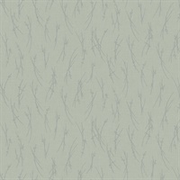 Eucalyptus & Silver Sprigs Wallpaper