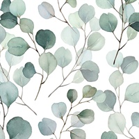 Eucalyptus Wallpaper