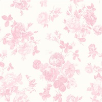 Everblooming Rosettes Pink Jam Cabbage Rose Bouquets Wallpaper