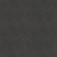 Fine Line Black Geometric Wallpaper