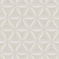 Lens Geometric Wallpaper
