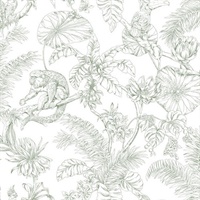 Forest Tropical Sketch Toile Wallpaper