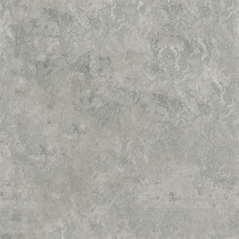 Francesca Pewter Texture Wallpaper