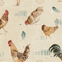 Fresh Chicken Wallpaper