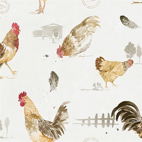 Fresh Chicken Wallpaper
