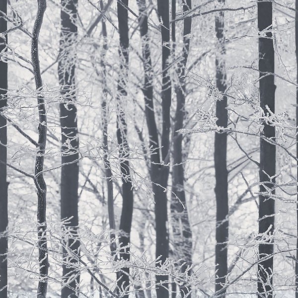 Frosted Silver Winter Grove Wallpaper