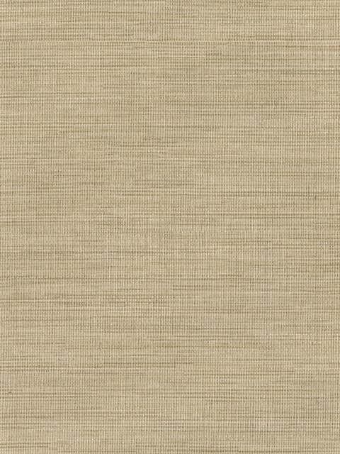Giana Taupe Horizontal Silk Wallpaper