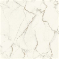 Gilded Marble