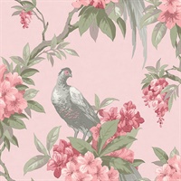 Golden Pheasant Pink Floral Wallpaper