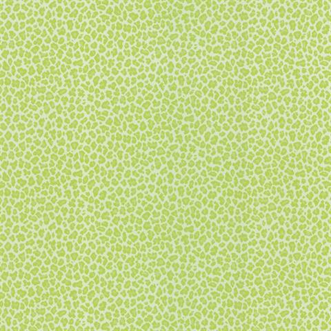 Green Cheetah Print