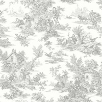 Grey Campagne Toile Wallpaper