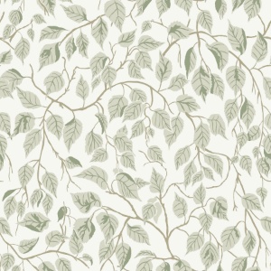 Hängbjörk Dove Wallpaper