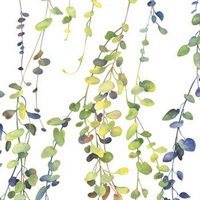 Hanging Watercolor Vines Peel & Stick Wallpaper