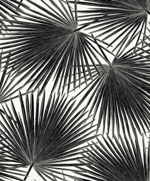 Haven Palm Prepasted Wallpaper