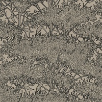 Hornbeam Brown Tree Wallpaper