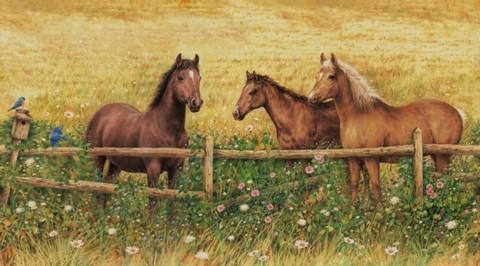 Horses At Fence - Wall Mural