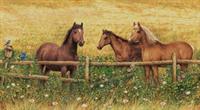 Horses At Fence - Wall Mural