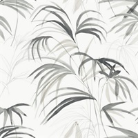 Inky Black Palms Wallpaper