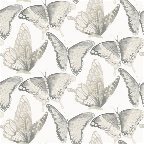 Janetta Grey Butterfly Wallpaper