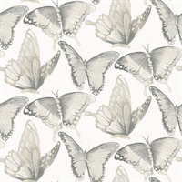 Janetta Grey Butterfly Wallpaper
