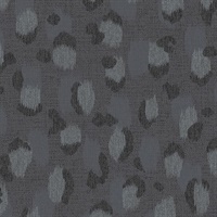 Javan Black Leopard Wallpaper