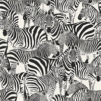 Jemima Black Zebra Wallpaper