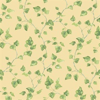 Just Ivy Wallpaper
