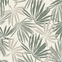 Khmunu Grey Palm Leaf Wallpaper