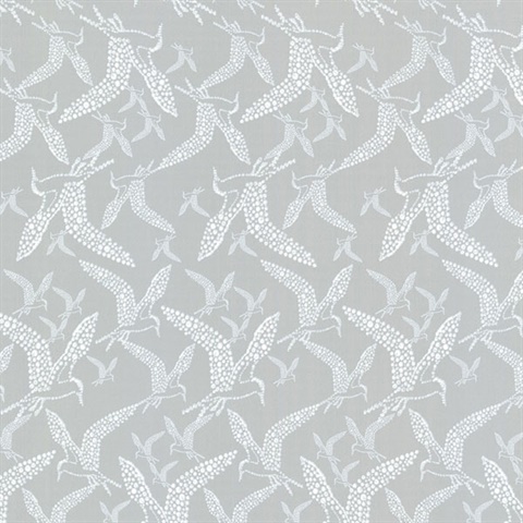 Lari Grey Bird Wallpaper