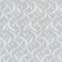 Lari Grey Bird Wallpaper