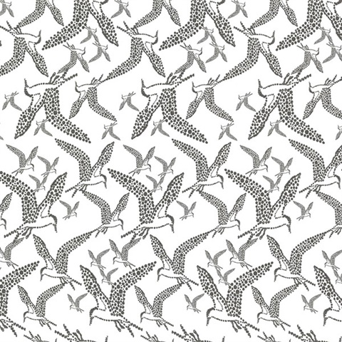 Lari White Bird Wallpaper